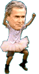 bush